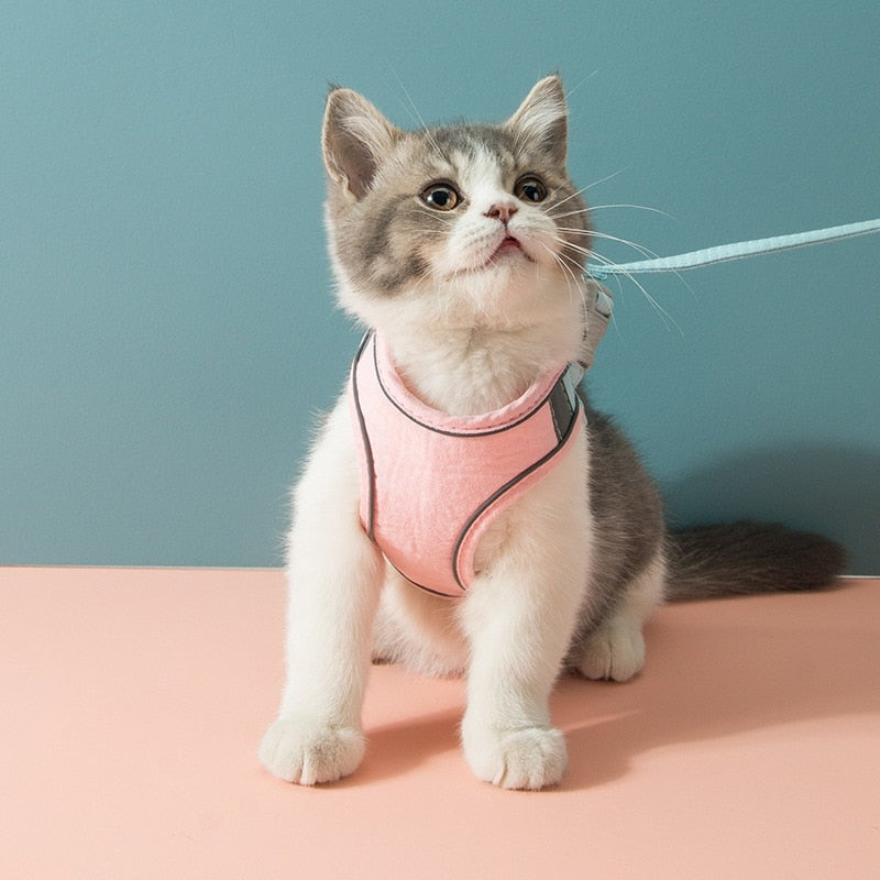 Adjustable Cat Harness Set Petritzy 