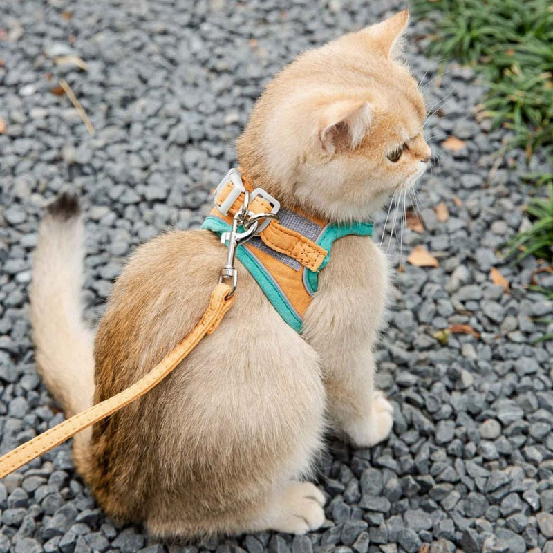 Adjustable Cat Harness Set Petritzy 